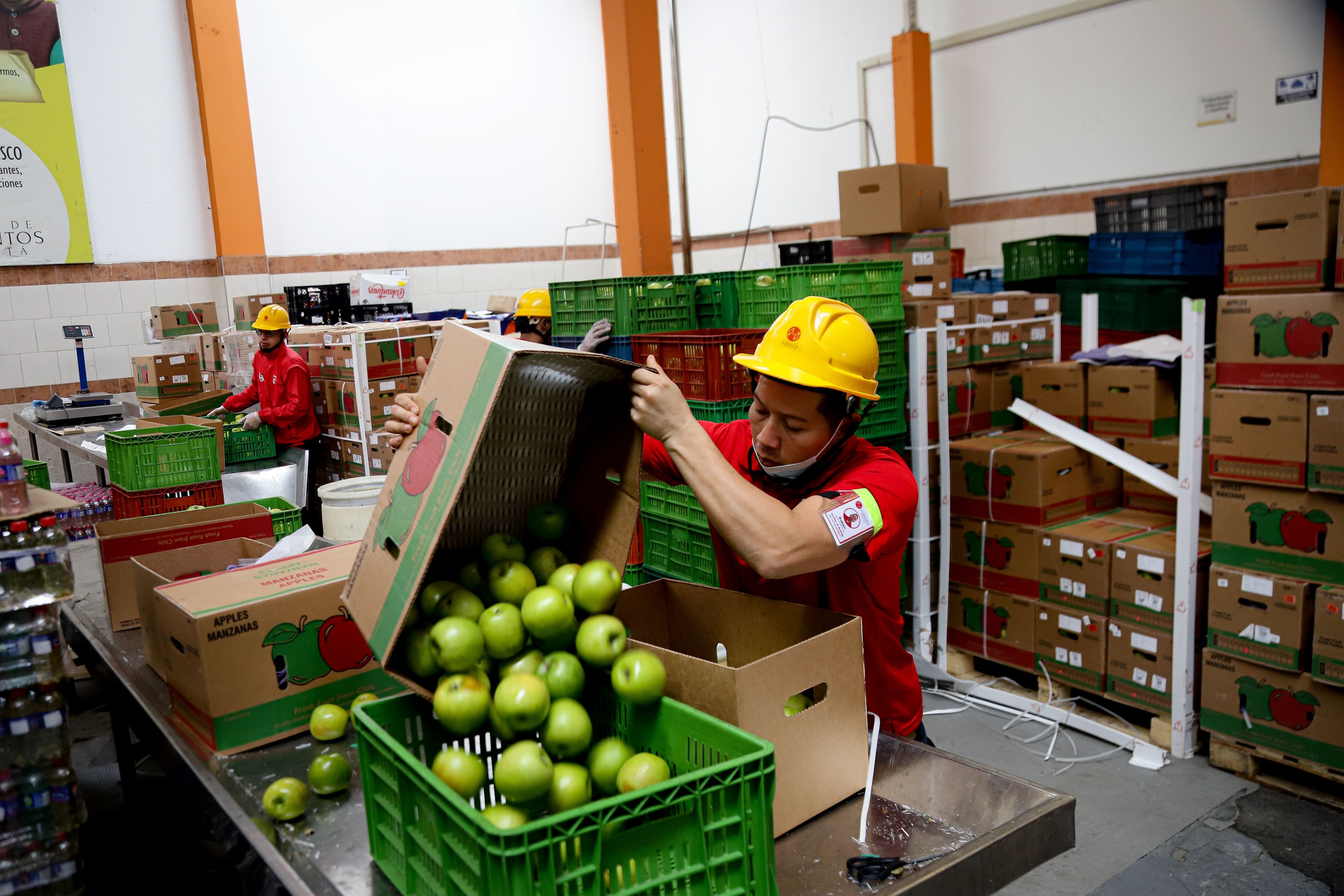 Banco de Alimentos de Bogotá denuncia una página falsa que pide donaciones a nombre de la entidad: "Está suplantando nuestra identidad" Banco de Alimentos de Bogotá denuncia una página falsa que pide donaciones a nombre de la entidad: "Está suplantando nuestra identidad"