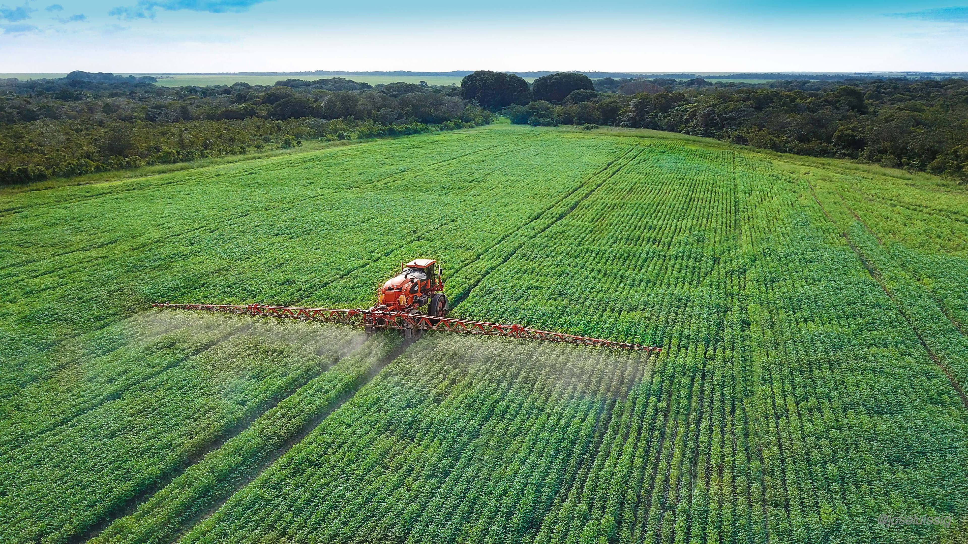 Del campo a la mesa: la cadena que sostiene la seguridad alimentaria en Colombia