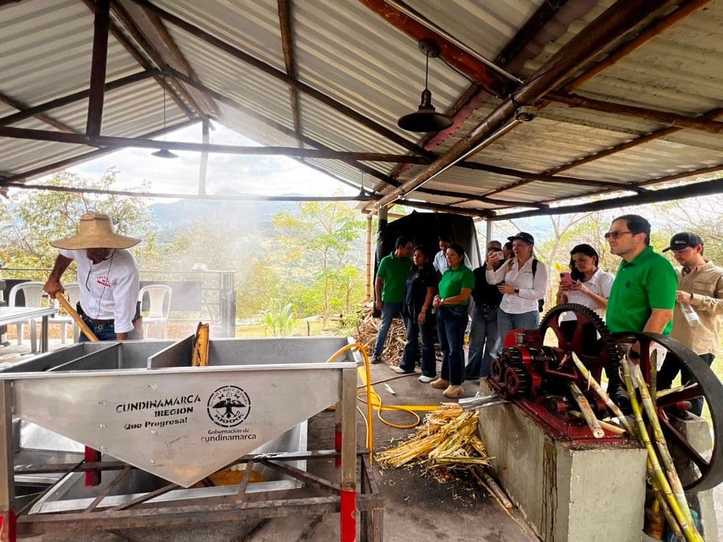 Bancolombia busca conectar a pequeños productores con nuevas oportunidades en Urabá y el occidente de Cundinamarca