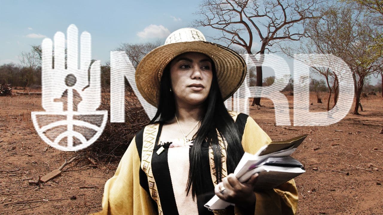 Martha Peralta. Fotoilustración: Yamith Mariño-CAMBIO.