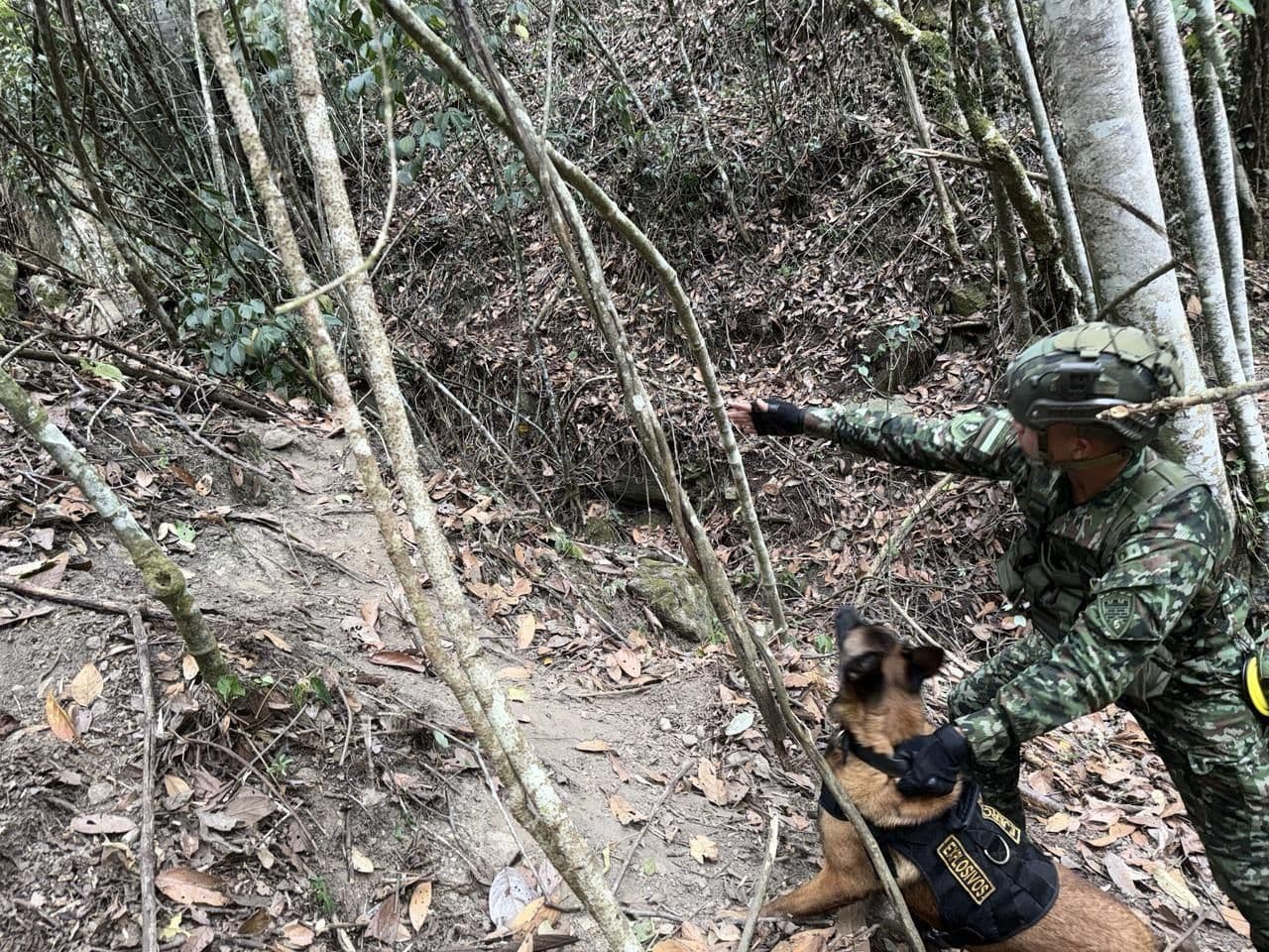 Foto: Ejército Nacional