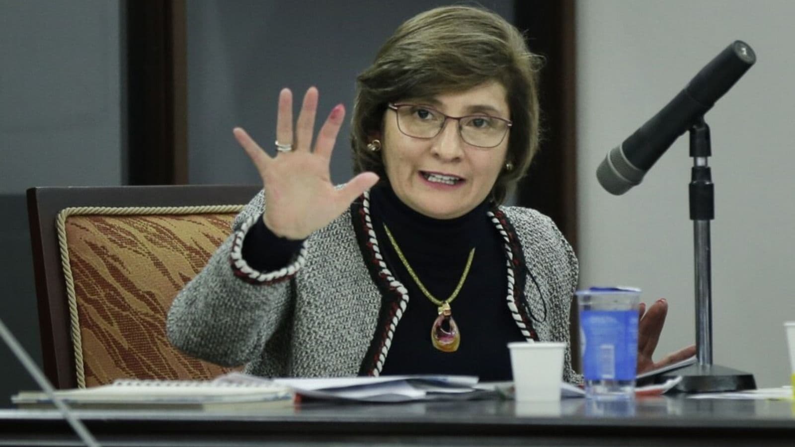 photologuephotos2023-11vicefiscal_martha_mancera_coronelljpeg