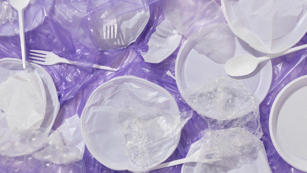 photologuephotos2024-04plasticos_de_un_solo_usojpg