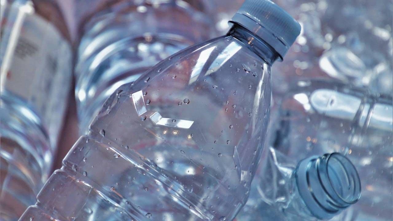 photologuephotos2024-04inventan_un_plastico_vivo_capaz_de_autodestruirsejpg