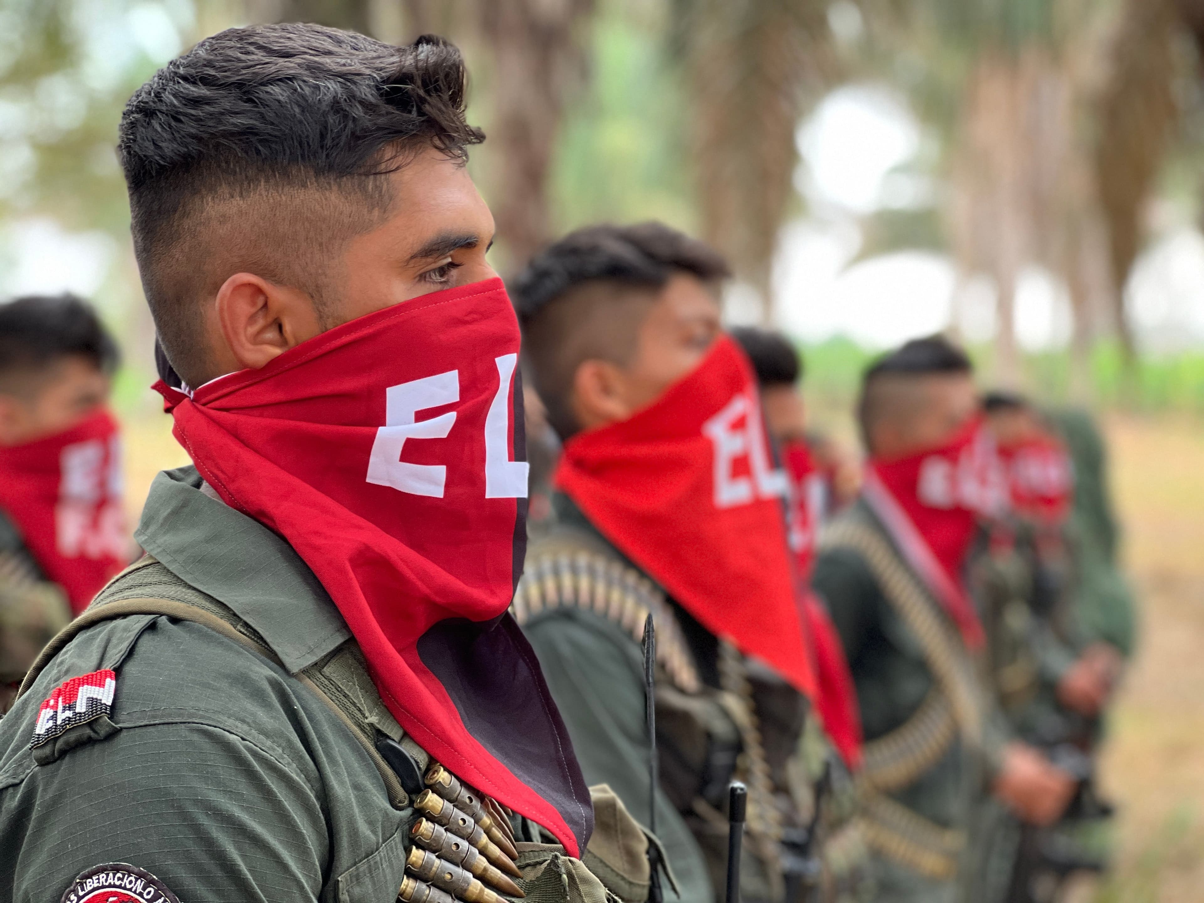 eln_guerrilla.jpg