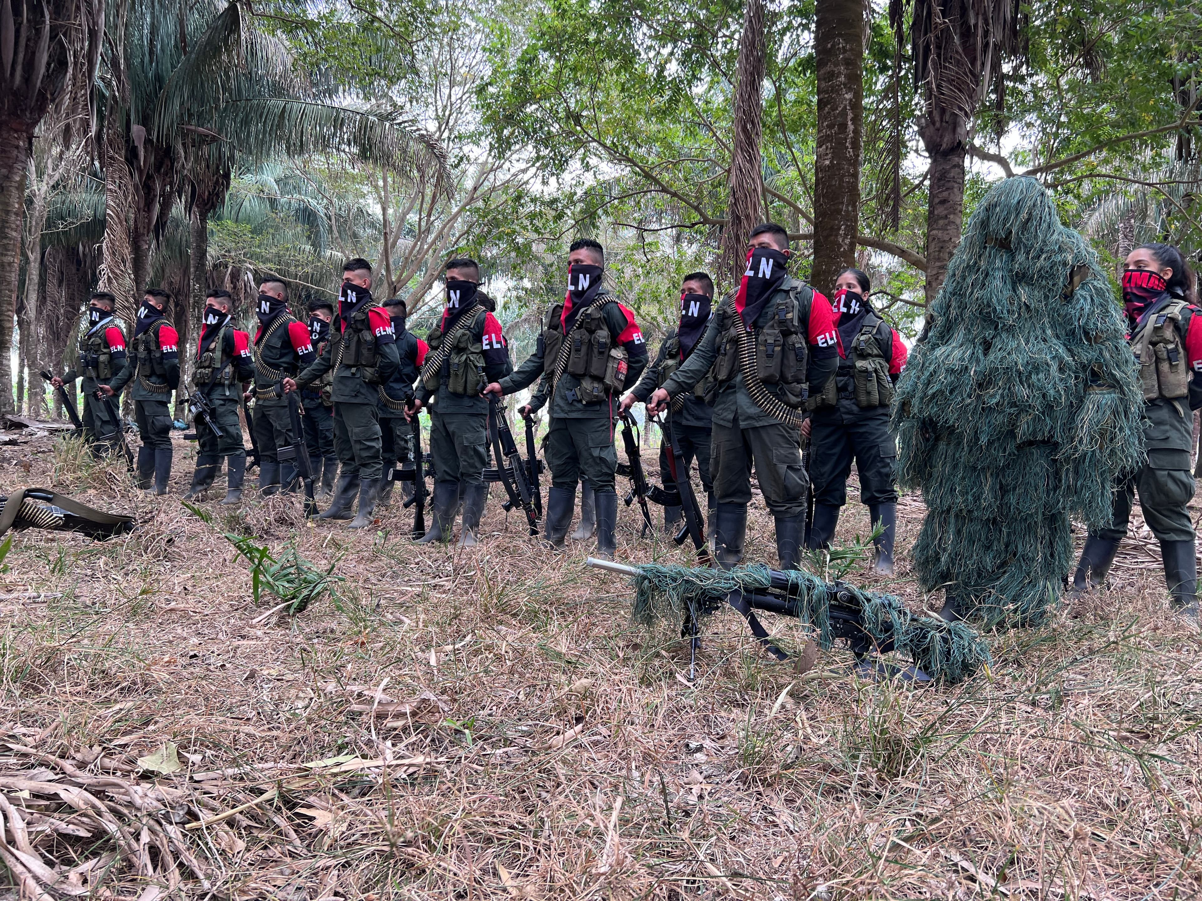eln_guerrilla_3.jpg