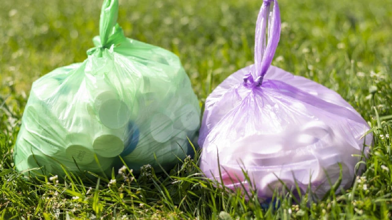 photologuephotos2024-07plasticos-solo-uso-multasjpg