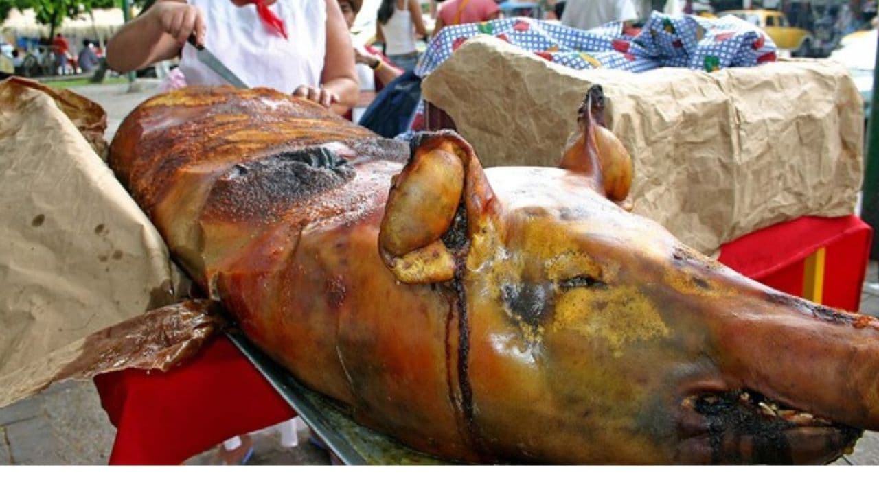 photologuephotos2024-10lechona_plato_tipico_colombianojpg