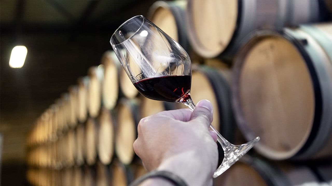 photologuephotos2024-12vinos_5jpeg