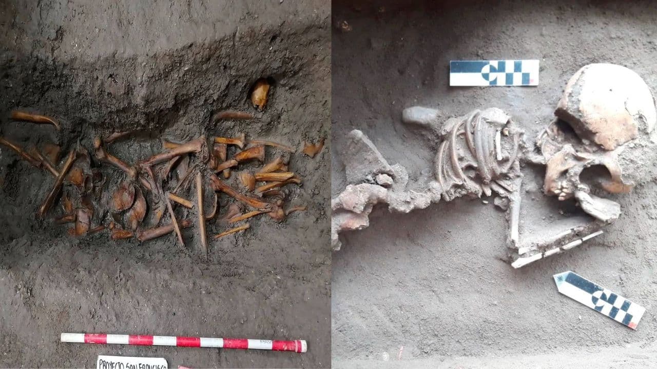 photologuephotos2025-04hallan_900_esqueletos_en_antiguo_convento_de_cartagena_asi_se_realizo_la_investigacionjpg
