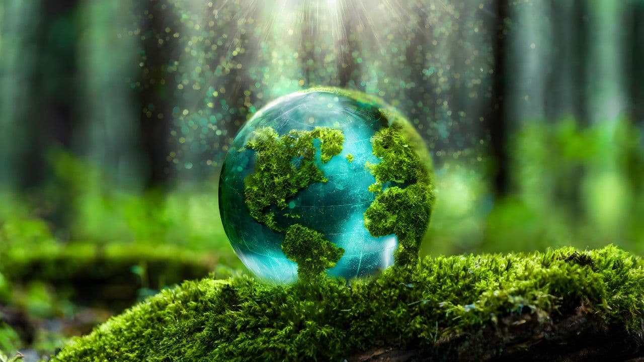 photologuephotos2025-06dia-de-la-tierra-medio-ambiente-globo-verde-en-el-bosque-con-musgo-y-luz-solar-desenfocada-abstracto_1jpg