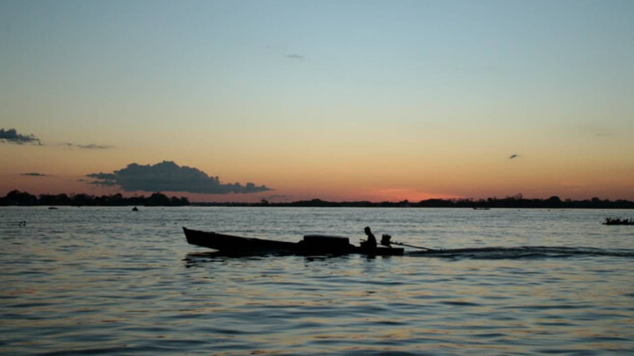 photologuephotos2025-08amazonasjpg