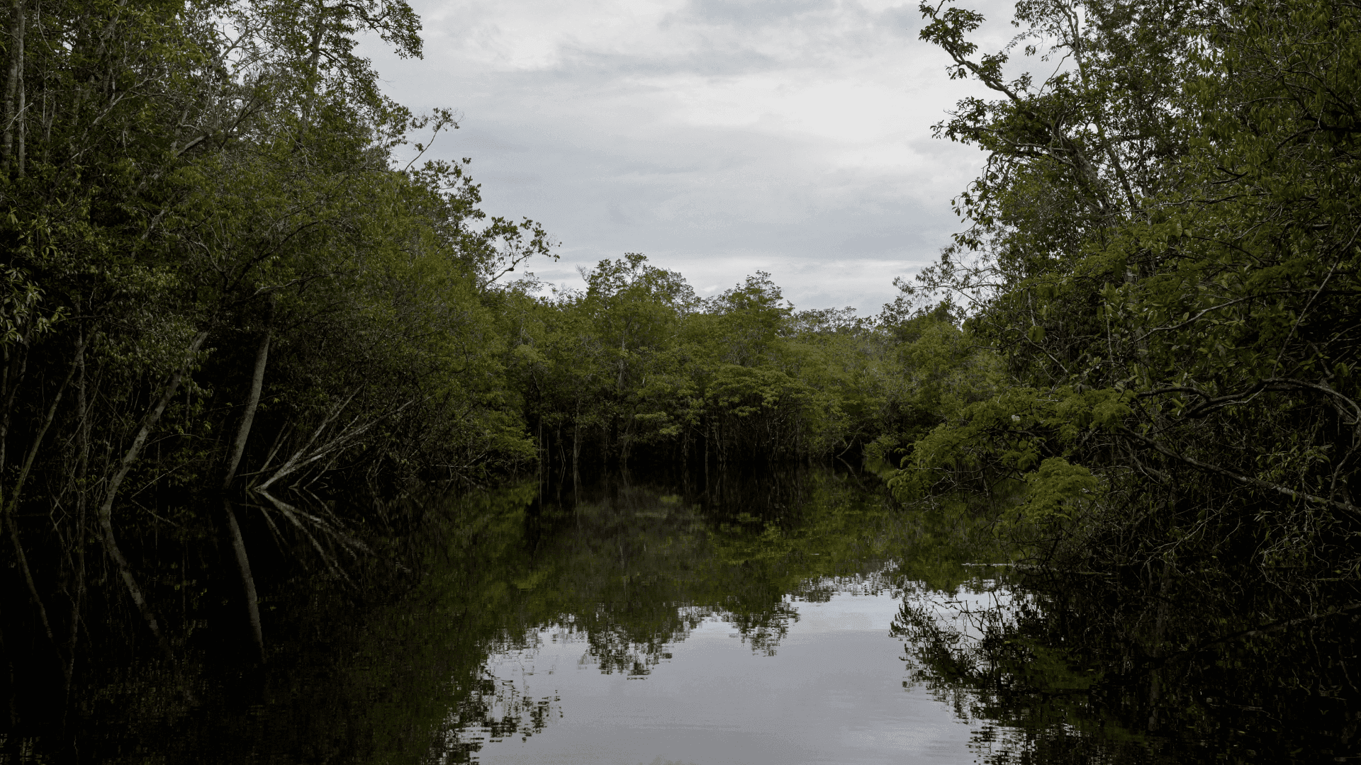 photologuephotos2025-08untitled_design_36png