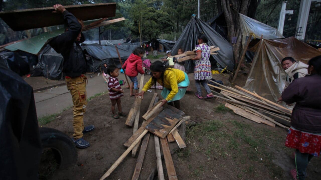 photologuephotos2025-09asi_sera_el_paso_a_paso_del_retorno_de_las_comunidades_embera_desde_bogota_hacia_sus_territoriosjpg