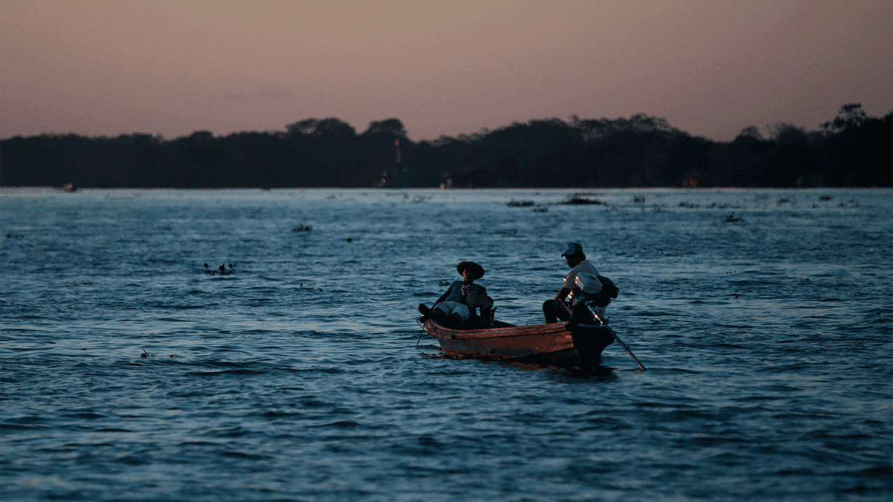 photologuephotos2025-08amazonas-1png
