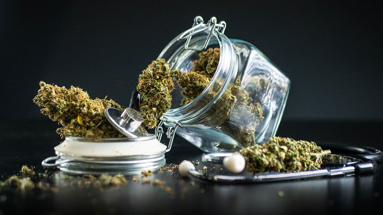 Gobierno autoriza cannabis medicinal