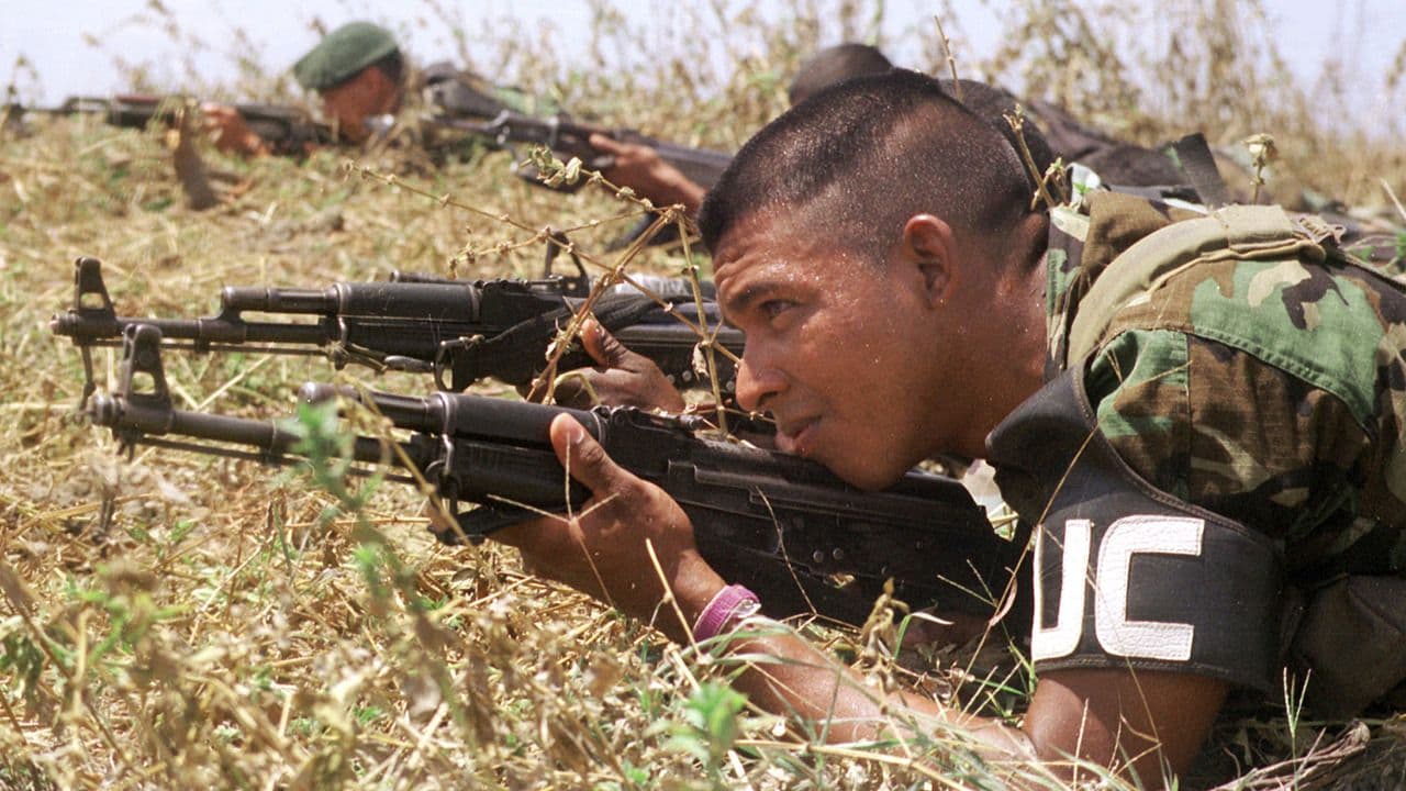 Fusiles de las AUC