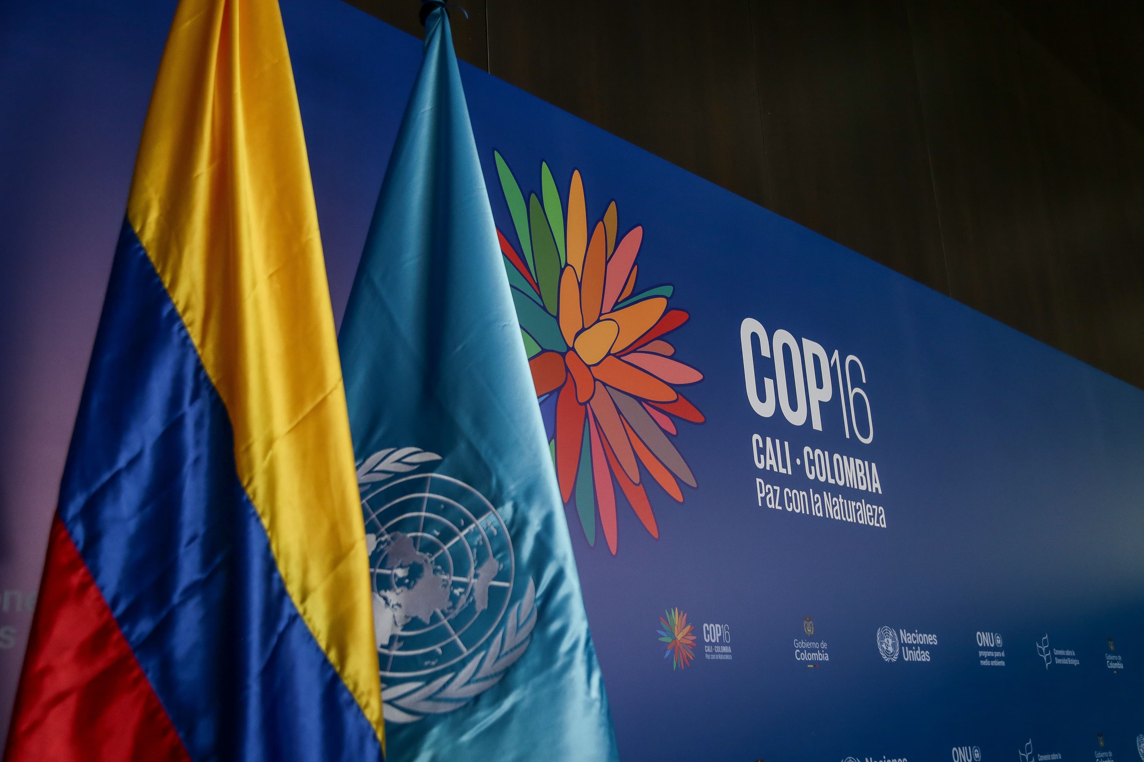 COP 16 REF