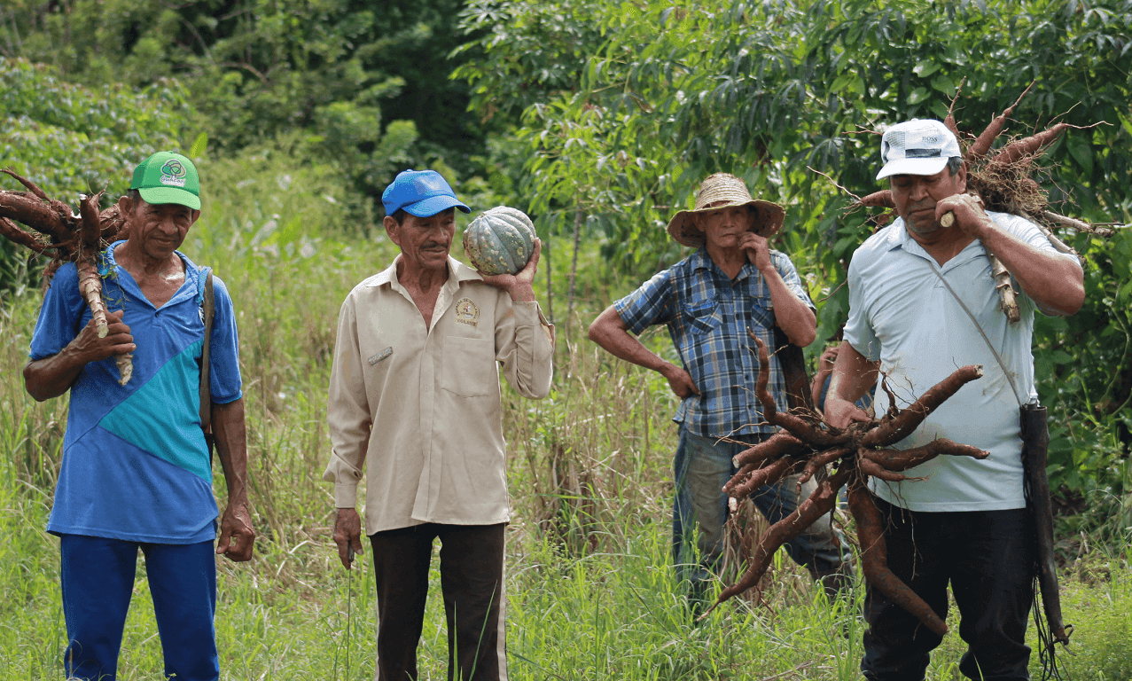 Feliciano Samudio, Ángel Solano, Julio Benítez y Ernesto Ortiz, miembros de Acaprosin, la asociación campesina de Laguna Flor, en Sincelejo.
