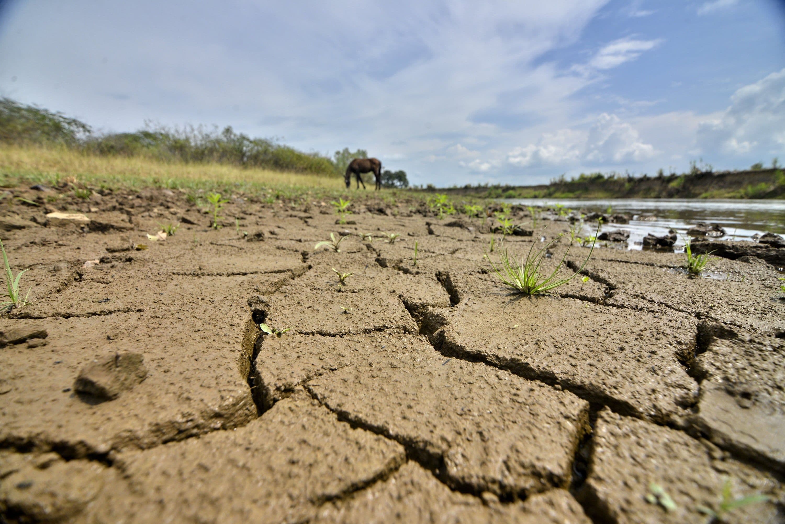 El fenómeno de El Niño podría reducir las lluvias en regiones
