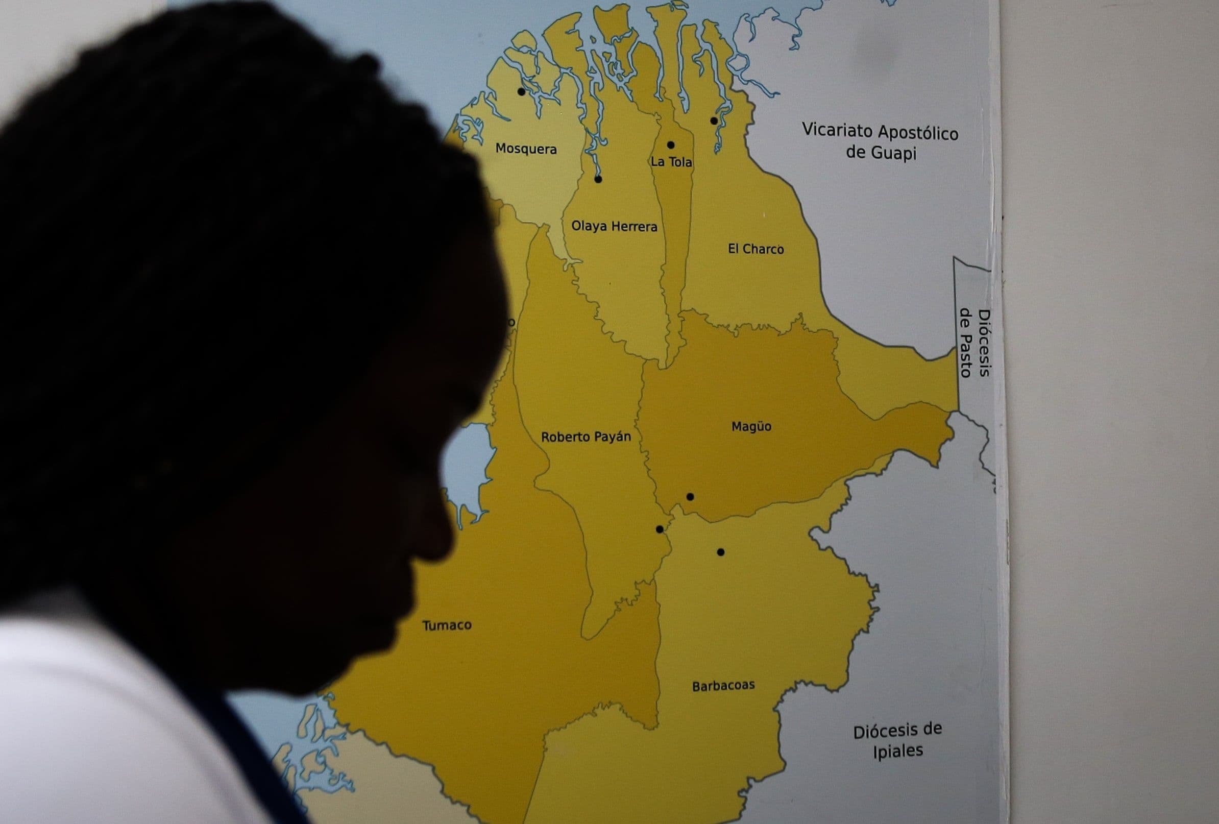 La ONU alertó por la persistencia de asesinatos de líderes sociales en Colombia