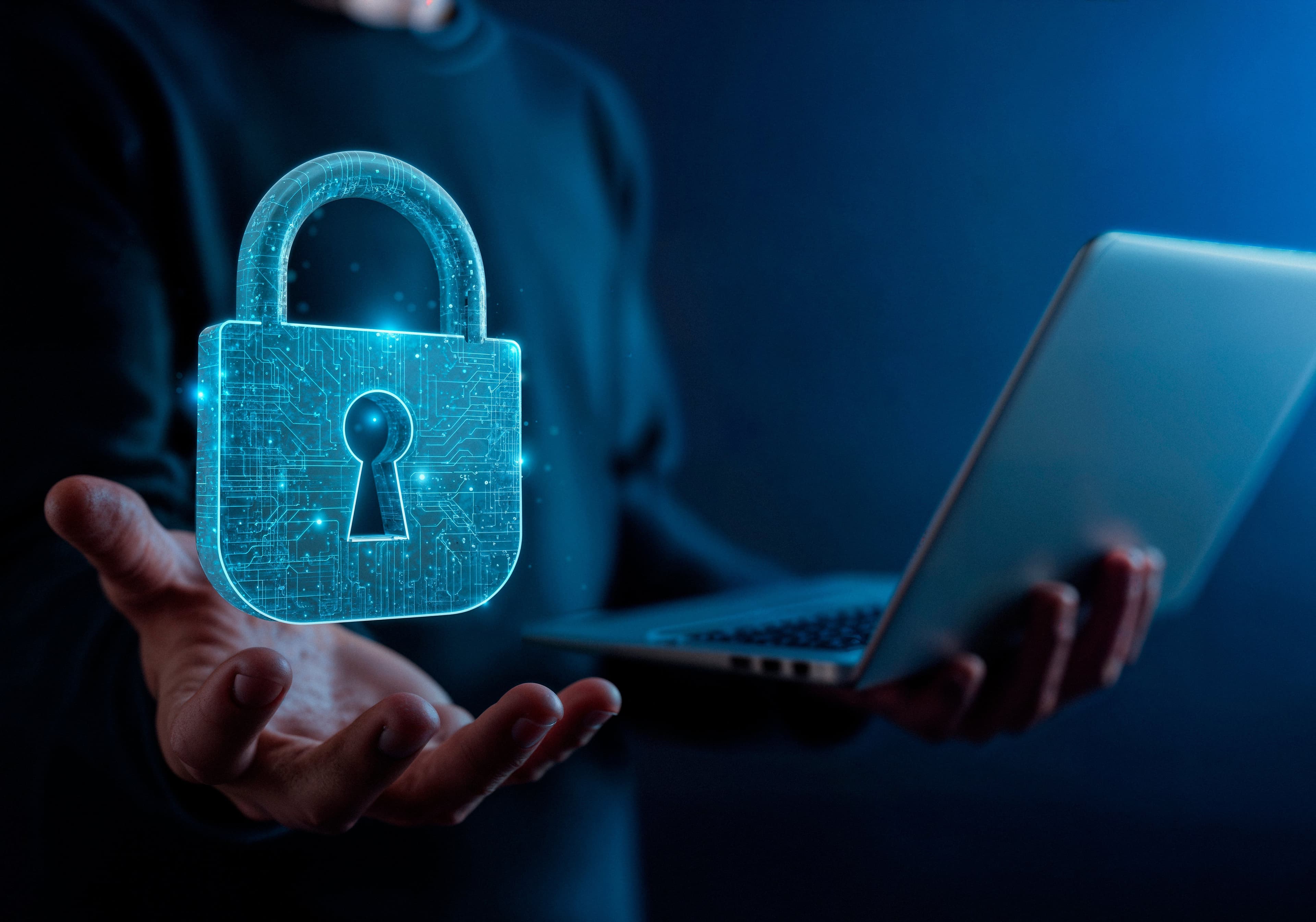 seguridad digital