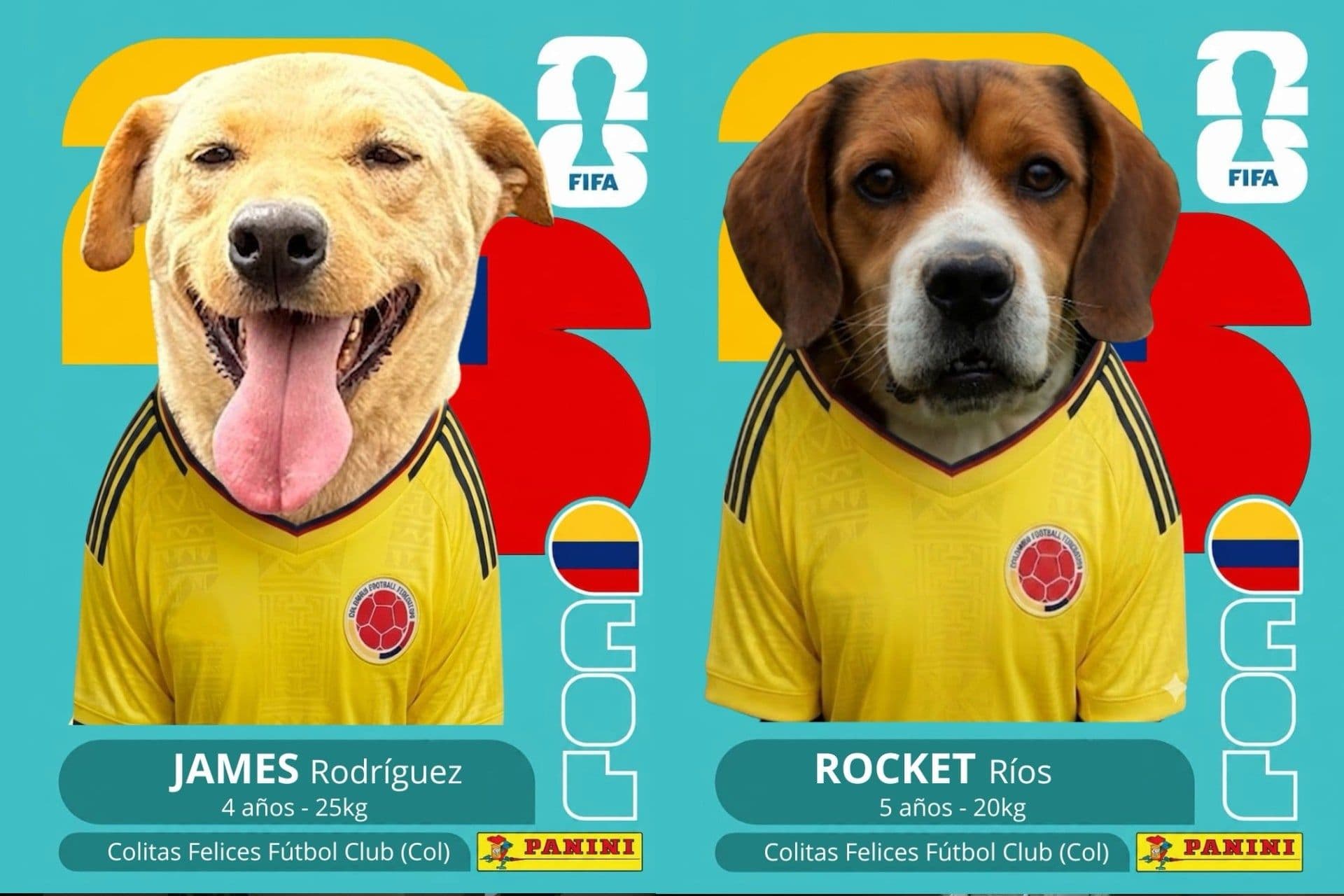 Fundación Colitas Felices