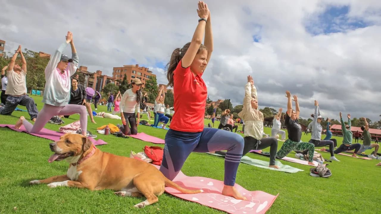 Semana del Bienestar en Bogotá: nueve días para disfrutar del arte, la cultura y más de 100 actividades gratuitas