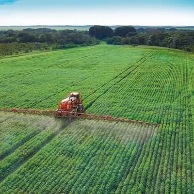 Del campo a la mesa: la cadena que sostiene la seguridad alimentaria en Colombia