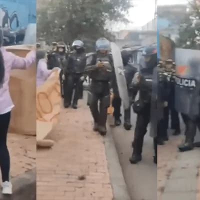 Desalojo en Fontibón en medio de disturbios deja a más de 50 animales bajo protección del Distrito