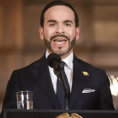 Jueza le ordena al Gobierno de Abelardo de la Espriella que suspenda temporalmente los bombardeos