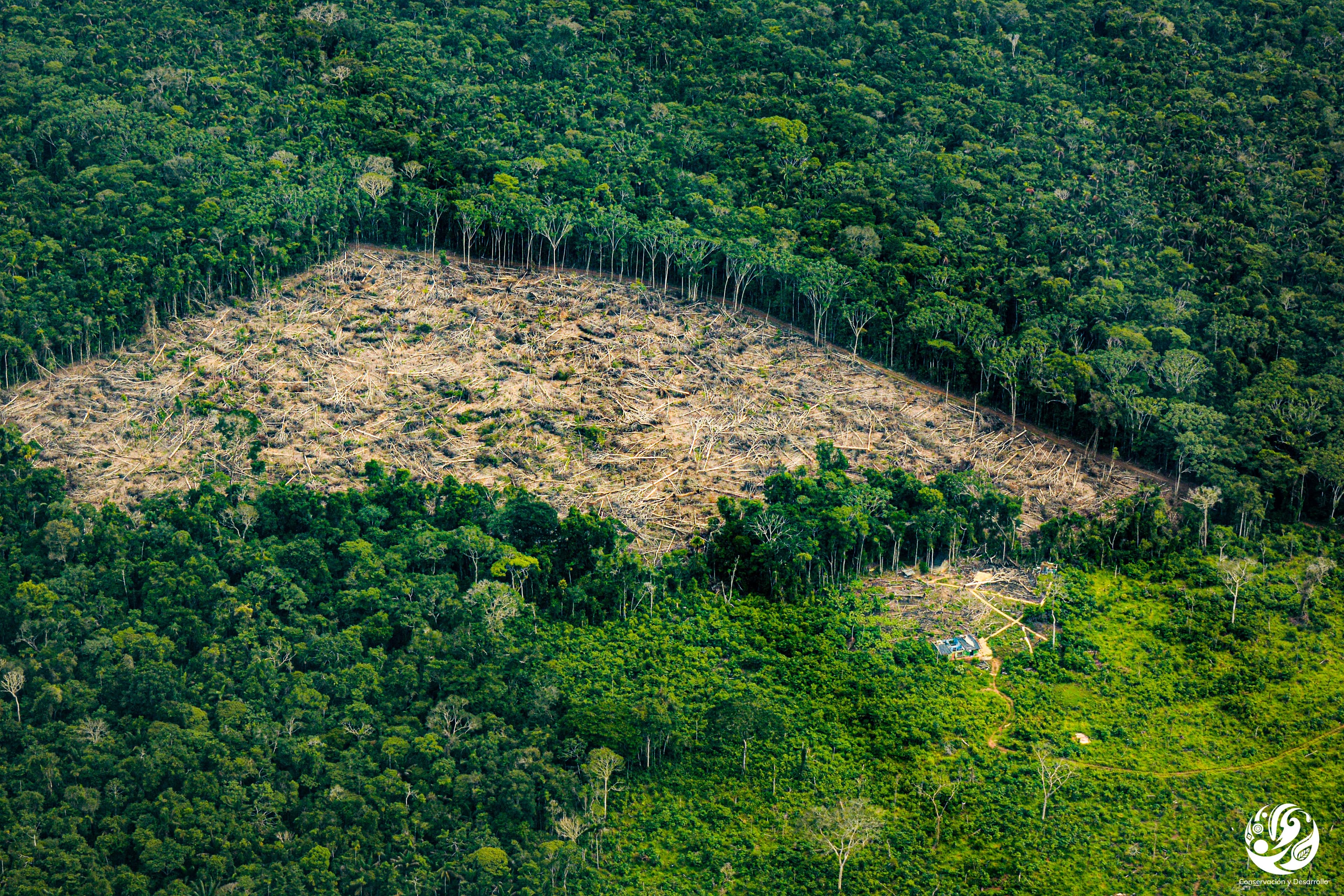Agenda estratégica para la Amazonía colombiana Agenda estratégica para la Amazonía colombiana