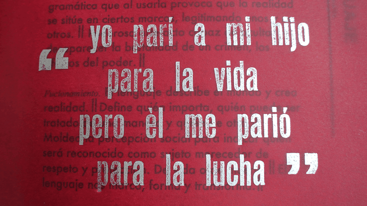 'Distorsiones y Justicia transicional', libro de Luz Marina Bernal. Foto: Pablo David-CAMBIO 'Distorsiones y Justicia transicional', libro de Luz Marina Bernal. Foto: Pablo David-CAMBIO