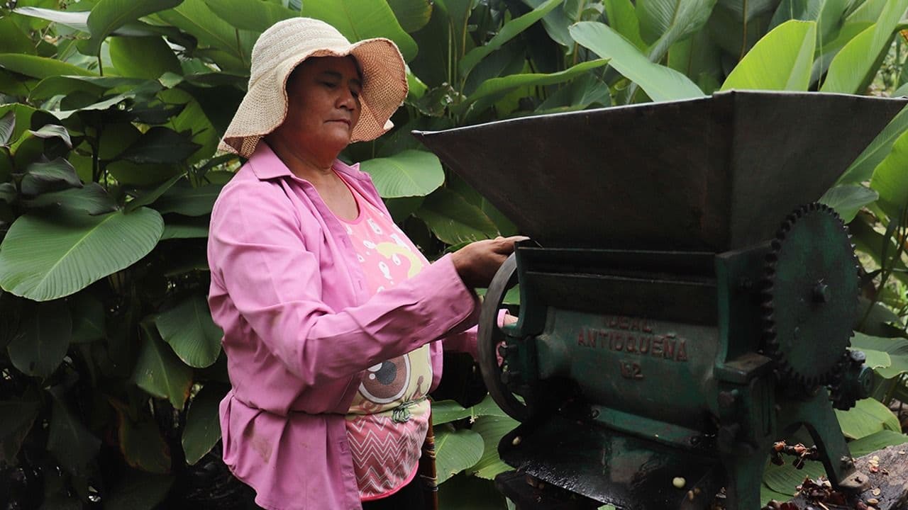 photologuephotos2024-03mujer_rural_2jpg photologuephotos2024-03mujer_rural_2jpg