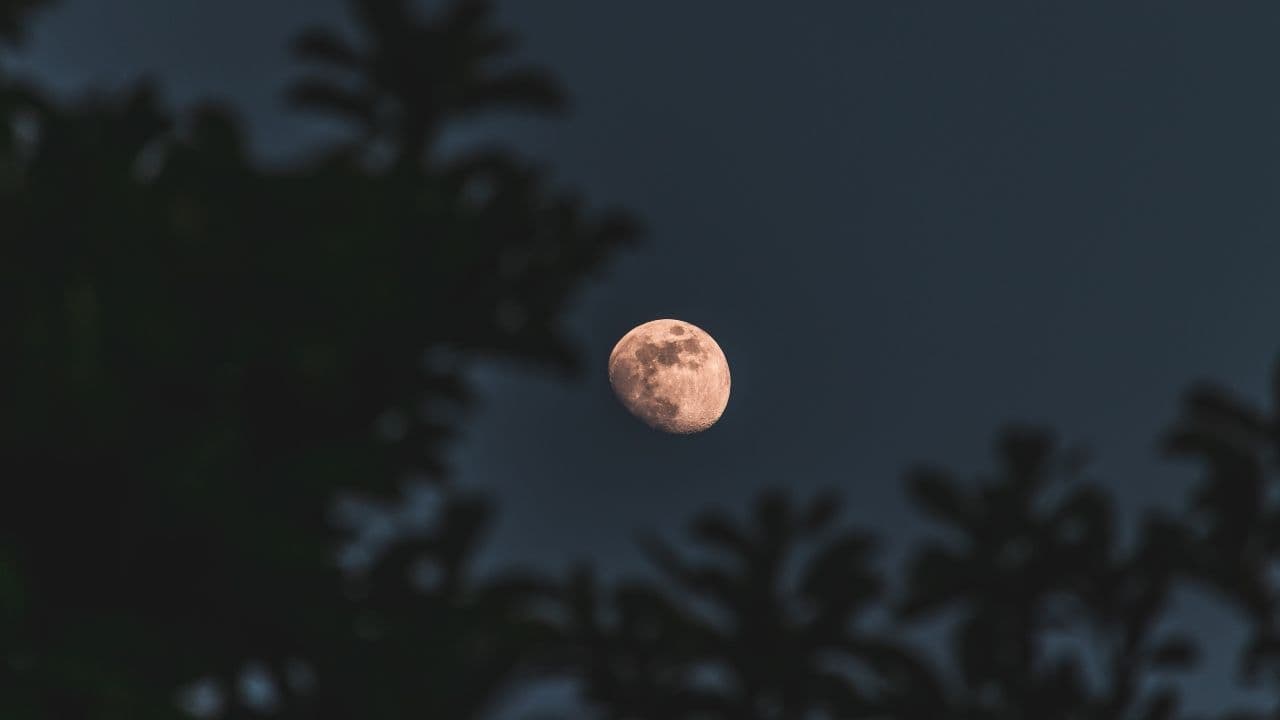 photologuephotos2024-06luna-fresa-colombiajpg photologuephotos2024-06luna-fresa-colombiajpg