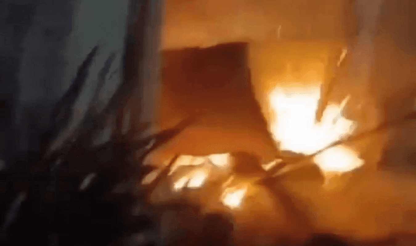 photologuephotos2025-03incendio_albergue_gatos_cartagenapng photologuephotos2025-03incendio_albergue_gatos_cartagenapng