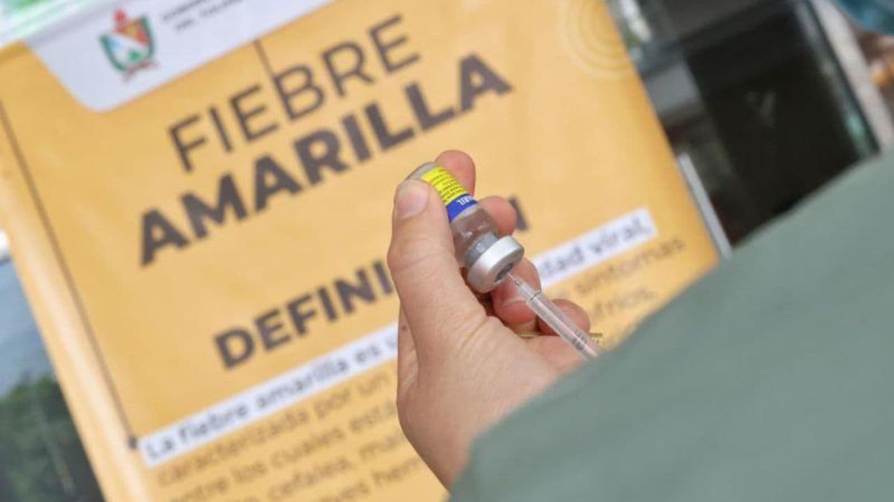 photologuephotos2025-04el_ministerio_de_salud_hizo_un_llamado_a_vacunarse_contra_la_fiebre_amarilla_ante_el_aumento_de_casos_en_el_paisjpg photologuephotos2025-04el_ministerio_de_salud_hizo_un_llamado_a_vacunarse_contra_la_fiebre_amarilla_ante_el_aumento_de_casos_en_el_paisjpg