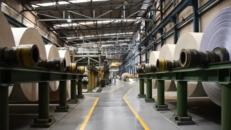 Propal entra en liquidación: las razones detrás de la caída de la histórica empresa colombiana Propal entra en liquidación: las razones detrás de la caída de la histórica empresa colombiana