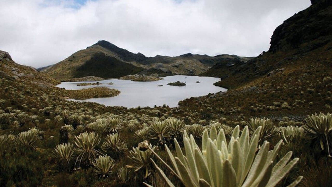photologuephotos2025-05paramo_santurbanjpg photologuephotos2025-05paramo_santurbanjpg