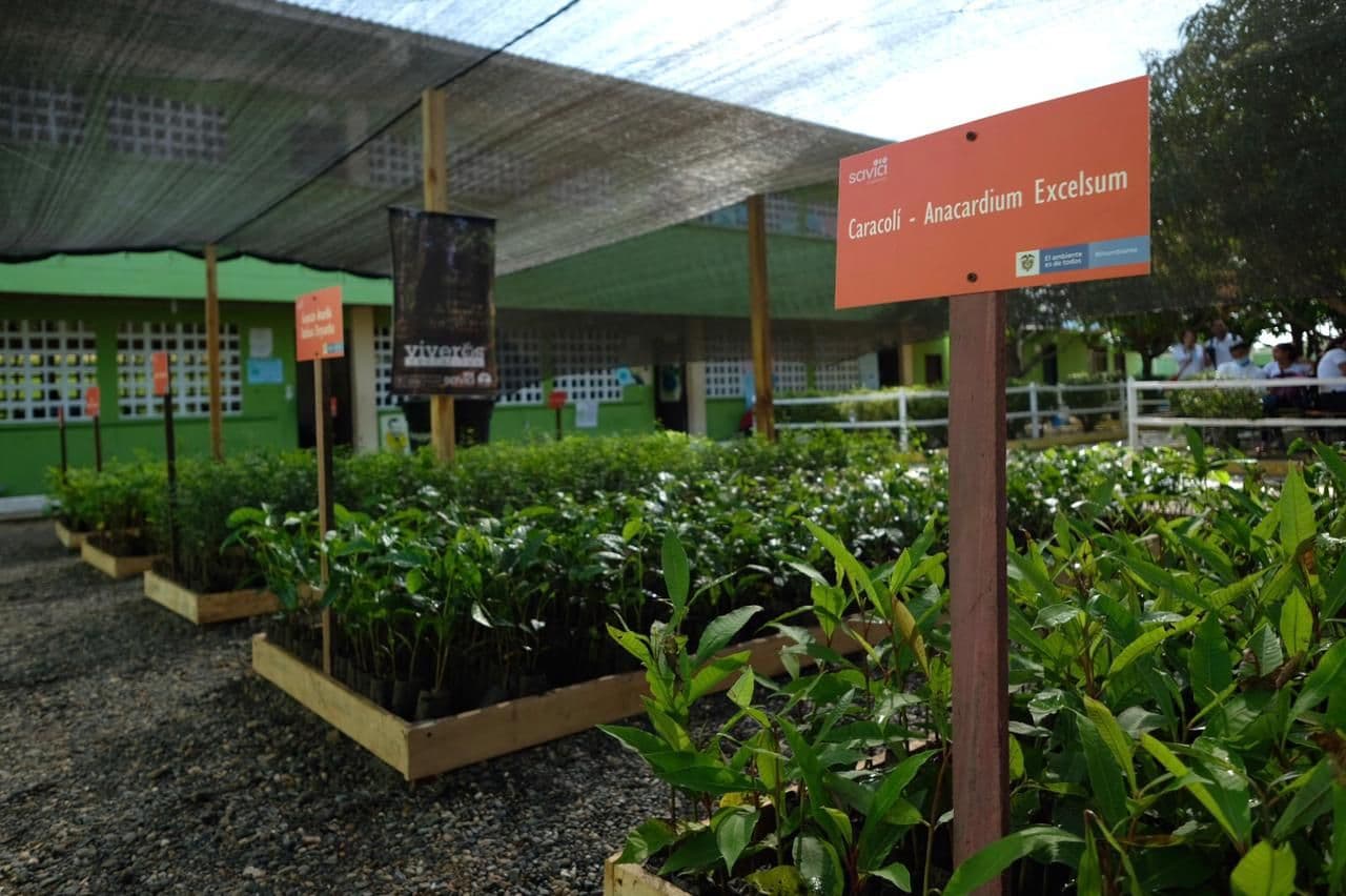 MinAmbiente entrega viveros MinAmbiente entrega viveros