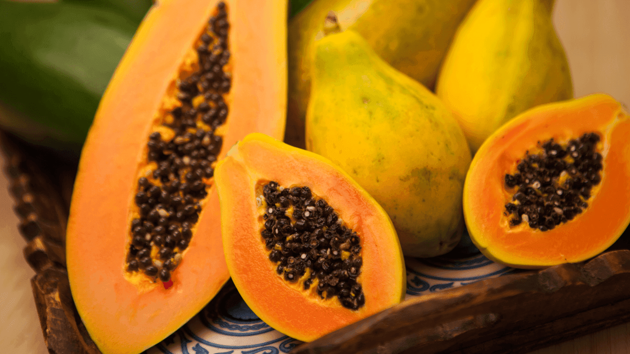 papaya anticonceptivos papaya anticonceptivos