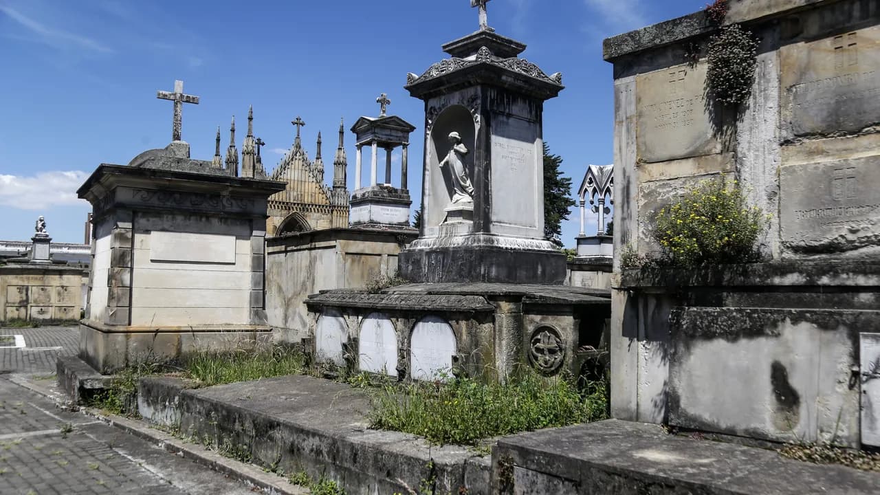 Confirmada sanción a Jardines de Luz y Paz, empresa que cerró cementerios distritales de Bogotá y dejó a familias sin despedir a sus seres queridos Confirmada sanción a Jardines de Luz y Paz, empresa que cerró cementerios distritales de Bogotá y dejó a familias sin despedir a sus seres queridos