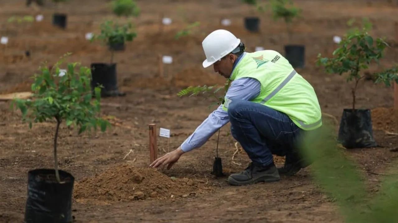 'La sostenibilidad territorial ya no puede medirse solo en promesas': el diagnóstico de Ecopetrol sobre la transición energética en Colombia 'La sostenibilidad territorial ya no puede medirse solo en promesas': el diagnóstico de Ecopetrol sobre la transición energética en Colombia