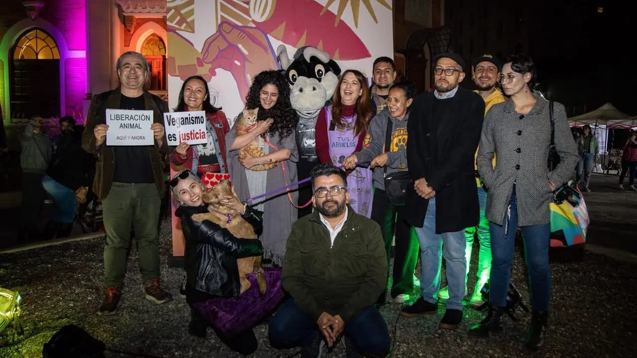 'Cultura para la Vida': MinCulturas prioriza la dignidad y el respeto por los animales 'Cultura para la Vida': MinCulturas prioriza la dignidad y el respeto por los animales