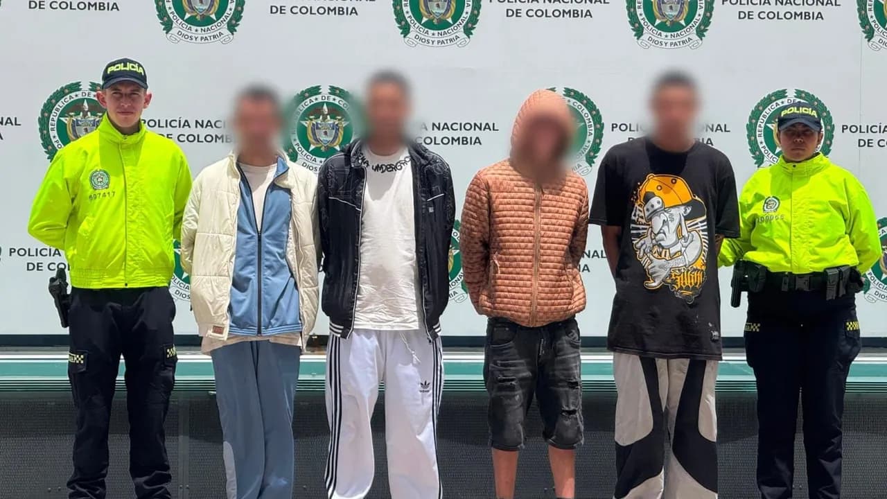 Escondían marihuana entre los árboles y bajo tierra para evadir los controles de la Policía Escondían marihuana entre los árboles y bajo tierra para evadir los controles de la Policía