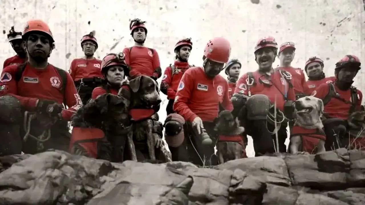 Los Topos, los rescatistas mexicanos que nacieron del caos y hoy buscan vida bajo los escombros en Venezuela Los Topos, los rescatistas mexicanos que nacieron del caos y hoy buscan vida bajo los escombros en Venezuela
