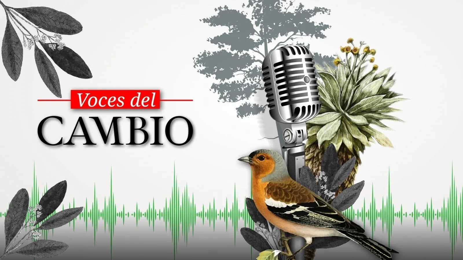 'Voces de Cambio' imagen 'Voces de Cambio' imagen