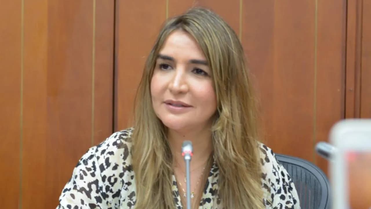 photologuephotos2024-07quien_es_nadia_blel_la_nueva_presidenta_del_partido_conservadorjpg photologuephotos2024-07quien_es_nadia_blel_la_nueva_presidenta_del_partido_conservadorjpg