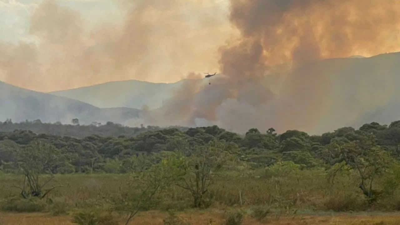 photologuephotos2024-09incendios_forestales_0jpg photologuephotos2024-09incendios_forestales_0jpg