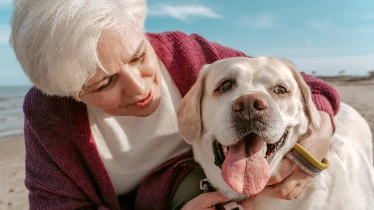photologuephotos2025-02los_perros_se_consideran_senior_a_partir_de_los_nueve_anos_de_edad_okjpg photologuephotos2025-02los_perros_se_consideran_senior_a_partir_de_los_nueve_anos_de_edad_okjpg